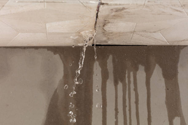 Professional Commercial Water Damage Restoration technician working in Niota, TN